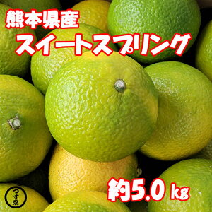 予約受付中！【熊本県産　スイートスプリング　約5.0K】12月上旬からの発送　みかん　柑橘　酸っぱそうな見た目とちがい上品な甘さ　柑橘セット　フルーツセット　御歳暮