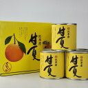 【JAあしきた 甘夏缶詰 6缶入】芦北柑橘 あまなつ 缶詰め 熊本県産 JA芦北 お中元 内祝い フルーツギフト 缶詰セット