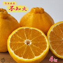 【熊本県産 不知火 しらぬい 約4.0k】熊本県産の不知火をお届けいたします あまくさ 天草 八代 三角 地方産 デコが特徴 しらぬい フルーツギフト デコポン ポンカン 柑橘セット 柑橘 デコ みか…