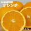 【オーストラリア産　オレンジ　16~20玉】ネーブルオレンジ　　バレンシアオレンジ　大玉　オレンジジュース　フレッシュジュース　送料無料