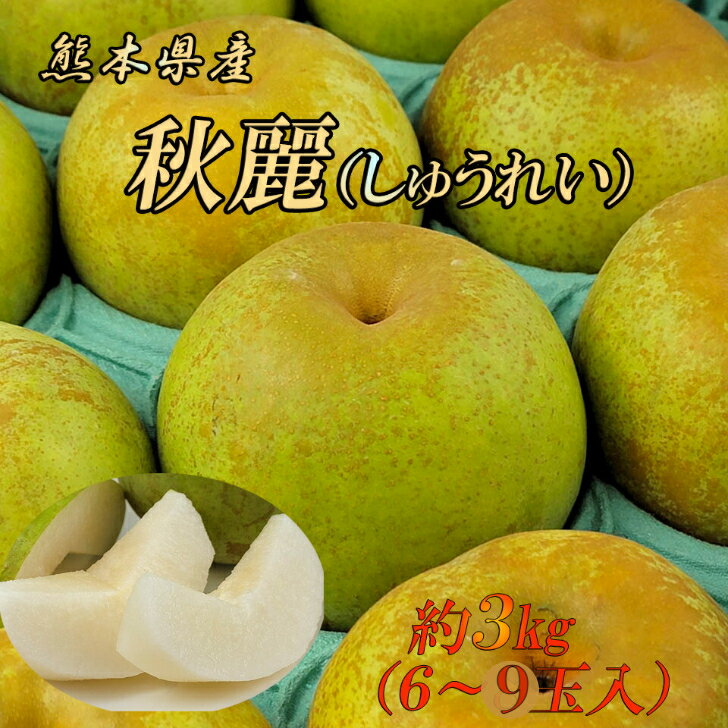 ポイント2倍【熊本県産　秋麗梨　約3k　6〜9玉入】幻の梨熊本県産秋麗梨　8月中旬頃からのお届け　吉野　荒尾　八代　熊本なし　幸水　豊水　新高　あきづき　高糖度　希少　しゅうれい　フルーツギフト　フルーツセット