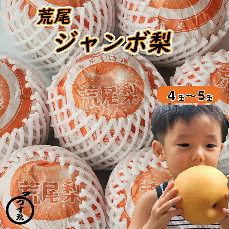【熊本県産　荒尾ジャンボ梨　4玉〜5玉入】くまもと　荒尾　荒尾梨　新高梨　ジャンボ梨　新高　くだもの　フルーツ　フルーツギフト　熊本県産　梨のサムネイル