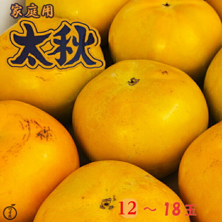 【家庭用　太秋柿　12玉〜18玉　約3.0～4.5k】産地厳選　太秋柿　熊本県産or福岡県産の太秋柿をお届けいたします。大秋柿　柿　かき　秋の味覚　サクサクな食感　フルーツギフト　送料無料のサムネイル