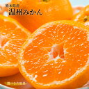 【熊本県産 温州みかん 選べる内容量】 熊本県産の温州みかんをお届けいたします。極早生みかん、早生みかん、中生みかん、晩生みかん 河内みかん 三角みかん