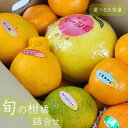 ご予約承り中【旬の柑橘詰合せ 4〜6種 約2k or 約4k or 7.5k】旬の柑橘を厳選してお届 温州みかん パール柑 あまくさ 不知火 ポンカン スイートスプリング 晩柑 きよみ 甘夏 紅八朔 日向夏 柑橘セット 文旦
