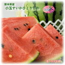 御中元おすすめ【熊本県産 小玉すいか ひとりじめ 選べる内容量】小玉西瓜 ひとりじめすいか ひとりじめスイカ 高糖度 甘い 贈り物 贈答品 父の日 プレゼント ...