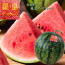 【スーパーセール25%OFF】父の日おすすめ【熊本県産 羅皇ザ・スウィート】4L~L 高糖度スイカ フルーツギフト すいか 高級 大玉 熊本すいか 熊本産 送料無料 熊本すいか 父の日 母の日 退院祝 出産祝 お祝 贈り物 プレゼント