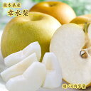 御中元【熊本県産 幸水梨 選べる内容量】くまもと 吉野 荒尾 なし 和梨 大玉 小玉 秀品 果物 くだもの フルーツ 豊水 新高 荒尾梨 秋の味覚 送料無料