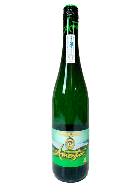 アメストイ・チャコリ　[2022]　750ml　【スペイン】【微発泡】【5月新商品】のサムネイル
