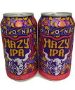 ストーン ヘイジーIPA 6.7％ 355ml缶×2本組 【要冷蔵商品】【クラフトビール】【アメリカ】【Stone】