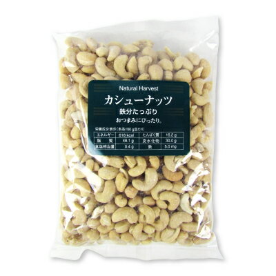 【マラソン限定 最大2200円OFFクーポン配布中 】共立食品 カシューナッツ 500g