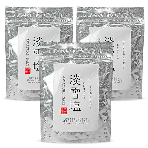ニットーリレー 淡雪塩 20g × 3袋 日東食品工業