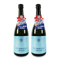 《送料無料》桃川 ワイン酵母仕込み 吟醸純米 720ml × 2本