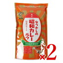 【マラソン限定!最大2000円OFFクーポン配布中!】水牛食品 昭和カレールウ 中辛タイプ 120g × 2袋