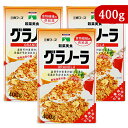 【マラソン限定！最大2200円OFFクーポン配布中】《送料無料》三育フーズ グラノーラ 400g × 3箱 朝食シリアル