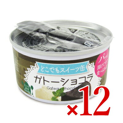 《送料無料》トーヨーフーズ どこでもスイーツ缶 ガトーショコラ 150g × 12個