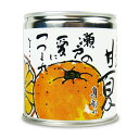 【GW限定！最大10%OFFクーポン配布中！】しまなみ 甘夏 缶詰 295g [グリップコーポレイション]