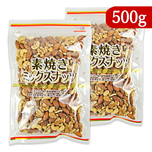 《送料無料》共立食品 素焼きミックスナッツ 500g × 2袋 無塩 無油 チャック付き