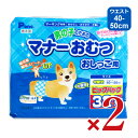 楽天にっぽん津々浦々【月初34時間限定！最大2200円OFFクーポン配布中！】《送料無料》第一衛材 P.one 男の子のためのマナーおむつ おしっこ用 ビッグパック 中型犬 32枚 × 2袋