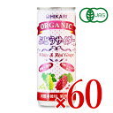 【最大10%OFF!GW限定まとめ買いクーポン配布中!】《送料無料》光食品 オーガニック ぶどうサイダー+レモン 250ml×60本 有機JAS
