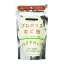 【マラソン限定!最大2000円OFFクーポン配布中!】クインビーガーデン プロポリスのど飴 40g