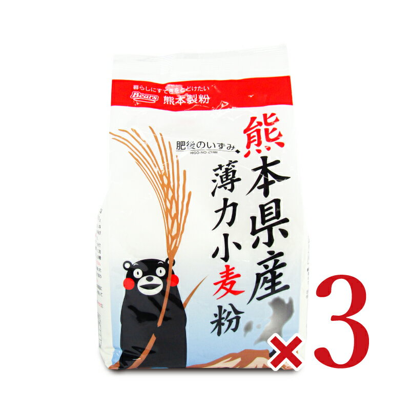 【マラソン限定!最大2200円OFFクーポン配布中!】熊本製粉 熊本県産 薄力小麦粉 肥後のいずみ 800g 3袋