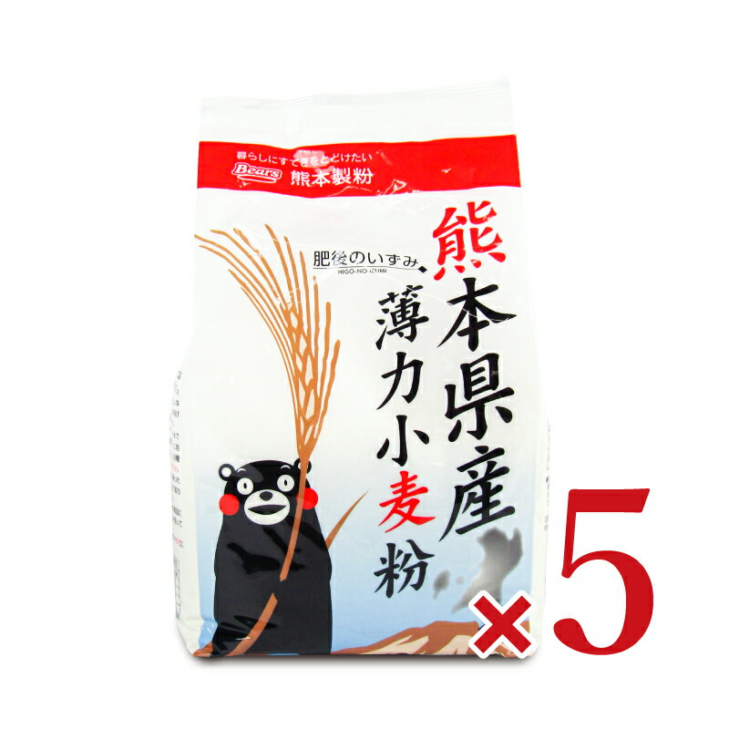 【マラソン限定!最大2200円OFFクーポン配布中!】熊本製粉 熊本県産 薄力小麦粉 肥後のいずみ 800g 5袋