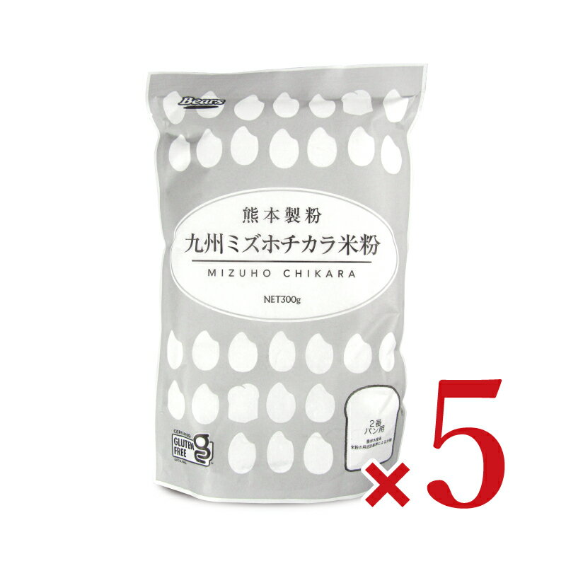 熊本製粉 九州ミズホチカラ米粉 300g × 5袋