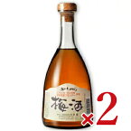 【月初34時間限定！最大2200円OFFクーポン配布中！】《送料無料》五一わいん 梅酒 500ml × 2本［林農園］【お酒 リキュール ビン 瓶 五一ワイン 日本 信州 桔梗ケ原】