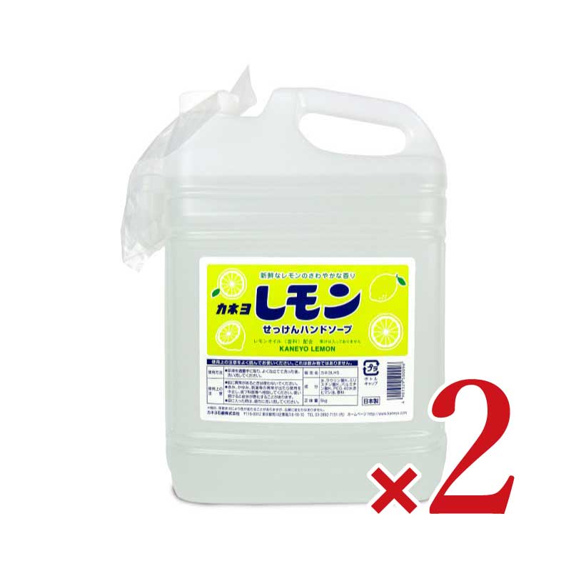 【月初め34時間限定 最大2200円クーポン配布中 】《送料無料》カネヨ石鹸 カネヨレモンせっけんハンドソープ 5kg 2本 業務用