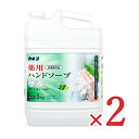 【月初め34時間限定!!最大2000円OFFクーポン配布中!! 】《送料無料》医薬部外品 カネヨ石鹸 薬用 ハンドソープ 5kg×2個 泡ポンプ・液ポンプ兼用 ...