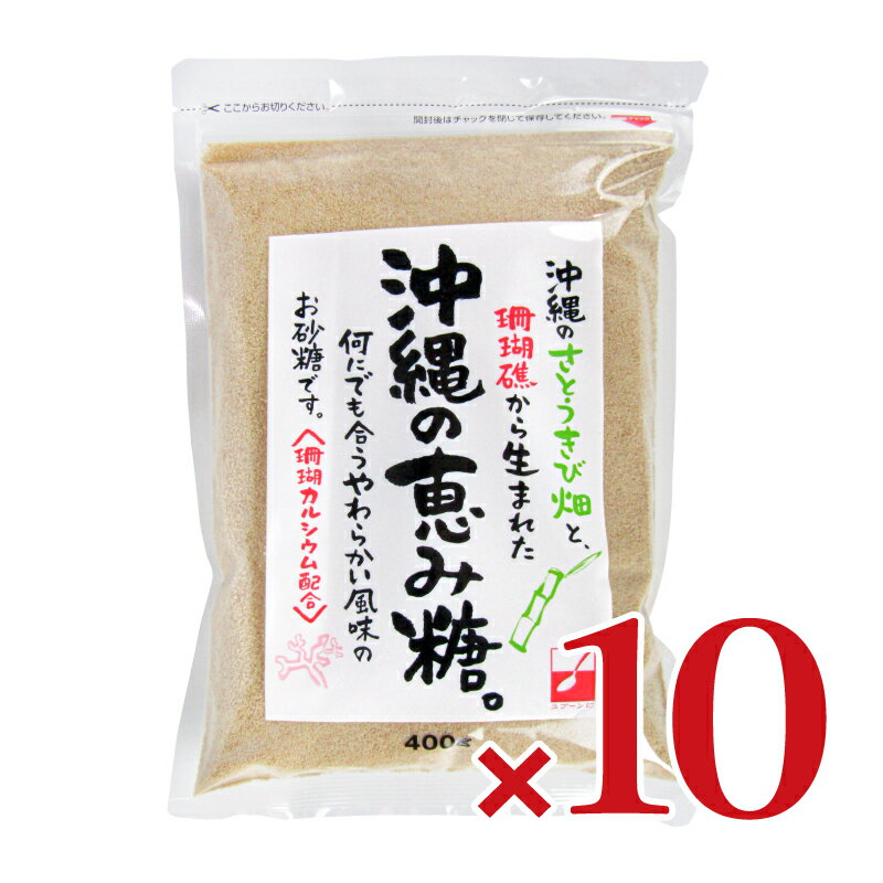 《送料無料》三井製糖 スプーン印 沖縄の恵み糖 400g×10個 ケース販売