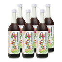 【マラソン限定!最大2000円OFFクーポン配布中!】《送料無料》中野BC 梅の初恋 瓶 720ml × 6本 箱なし