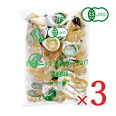【スーパーSALE限定!最大2000円OFFクーポン配布中!】《送料無料》サクラ食品工業 オーガニック シュガーシロップ 業務用 15g×50個 ×3袋 有機J...