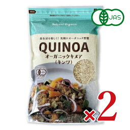 【月初34時間限定！最大2200円OFFクーポン配布中！】有機キンワ 340g × 2袋 ［桜井食品］ 有機JAS