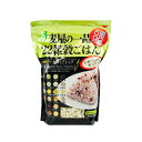 【月初め34時間限定!!最大2000円OFFクーポン配布中!! 】石橋工業 麦屋の一品22雑穀ごはん 30g×18本