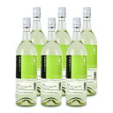 【最大10%OFF!GW限定まとめ買いクーポン配布中!】《送料無料》池田町ブドウ・ブドウ酒研究所 十勝ワイン 町民用白ワイン 720ml × 6本
