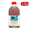 《送料無料》クインビーガーデン アルバータハニー 2.5kg 純粋はちみつ100%