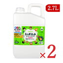 《送料無料》医薬部外品 サラヤ シャボネット ササッとすすぎ 泡手洗いせっけん 2.7L × 2個 詰替用 シトラスグリーンの香り