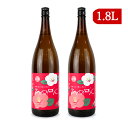 【GW限定！最大10%OFFクーポン配布中！】《送料無料》一ノ蔵 ひめぜん 1.8L×2本 日本酒 原酒 極甘口