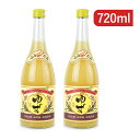 【月初め34時間限定!!最大2000円OFFクーポン配布中!! 】《送料無料》請福酒造 柚子シークヮーサー リキュール 720ml×2本