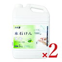 【月初め34時間限定!!最大2000円OFFクーポン配布中!! 】《送料無料》カネヨ石鹸 ハンドソープ 水石けん5kg × 2本