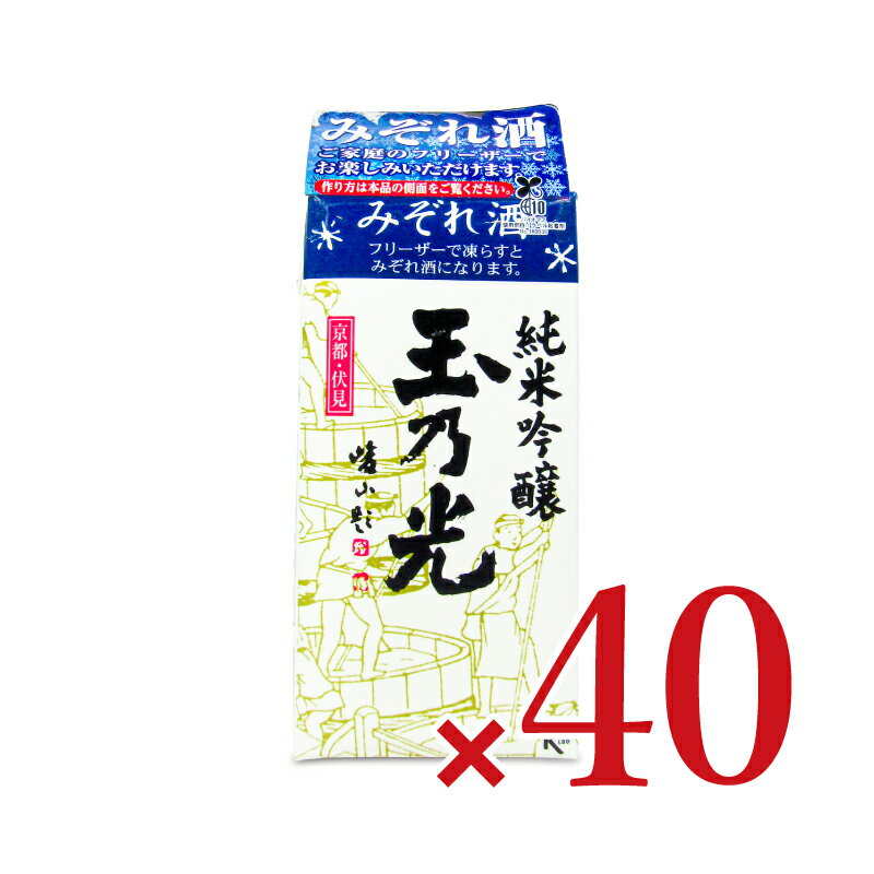 《送料無料》玉乃光酒造 玉乃光 純米吟醸 青パック 300ml × 20個 × 2箱 ケース販売