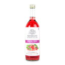 《商品リニューアルにつきお試し価格》島根ワイナリー 島根わいん オリジナルスイート 赤 720ml《返品・交換不可》