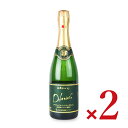 【スーパーSALE限定!最大2000円OFFクーポン配布中!】《送料無料》島根ワイナリー 島根わいん デラウェア スパークリングワイン 750ml × 2本