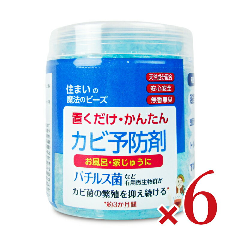 【イーグルス感謝祭限定!!最大2000円OFFクーポン配布中!! 】《送料無料》丹羽久 置くだけ・かんたんカビ予防剤 150g × 6個