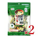 《送料無料》カネタ・ツーワン 徳用野菜たっぷり味噌汁の具 90g × 2袋