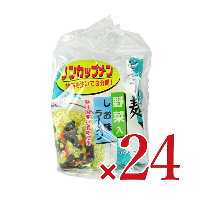 《送料無料》トーエー どんぶり麺・しお味ラーメン 78.5g×24袋 ケース販売《賞味期限2024年7月28日》