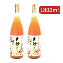 《送料無料》高千穂酒造 高千穂 熟成梅酒 1800ml×2本 梅酒コンクールプラチナ賞受賞