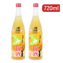 【マラソン限定!最大2000円OFFクーポン配布中!】《送料無料》高砂酒造 国士無双 梅酒 720ml×2本